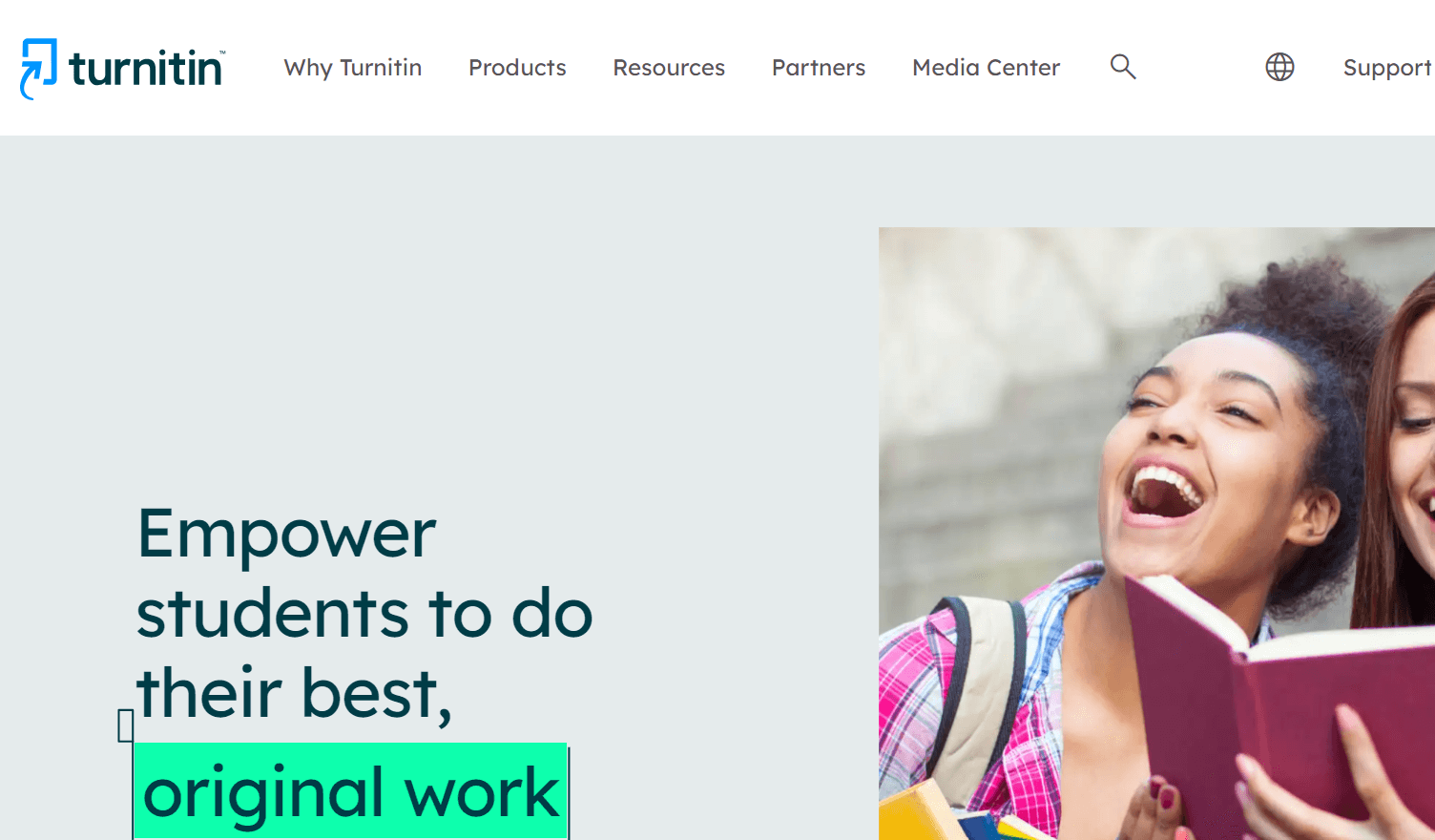Turnitin Review