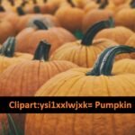 Clipart:ysi1xxlwjxk= Pumpkin